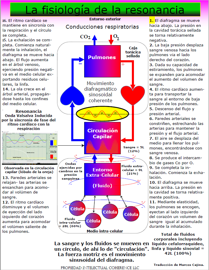 La fisiologia de resonancia