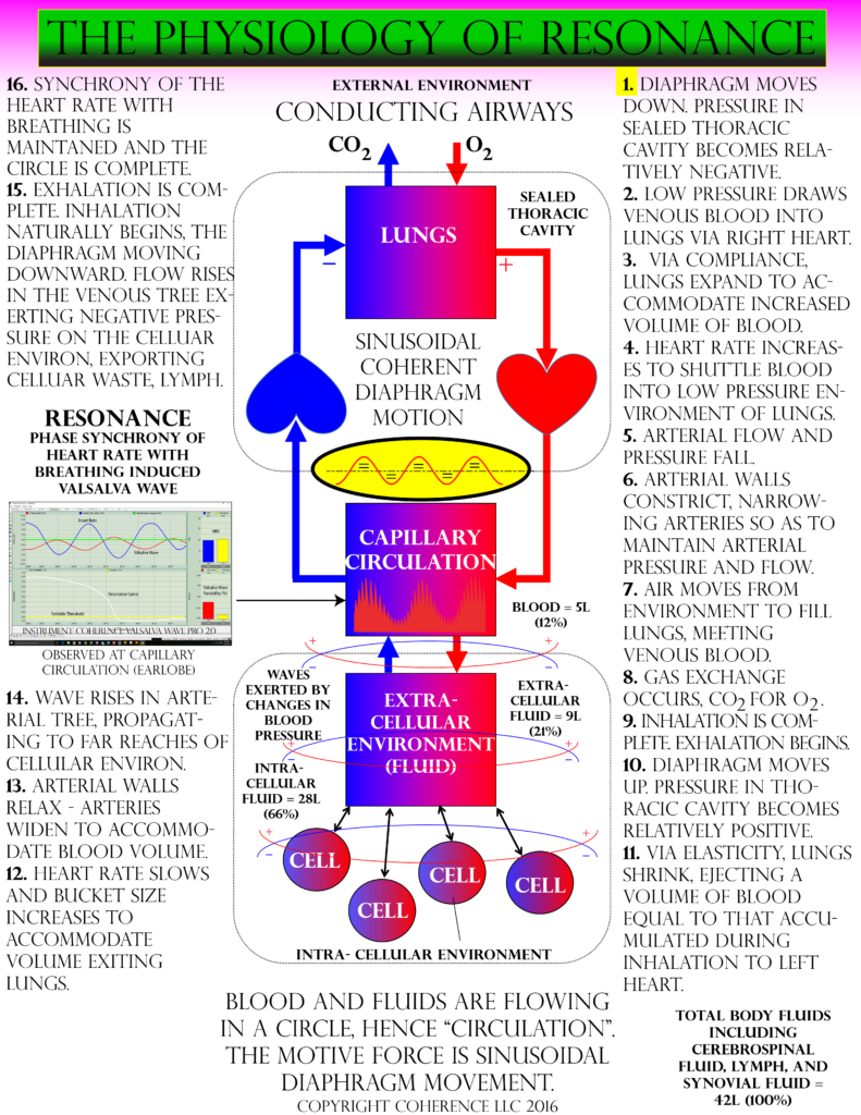 The Physiology Of Resonance, by COHERENCE